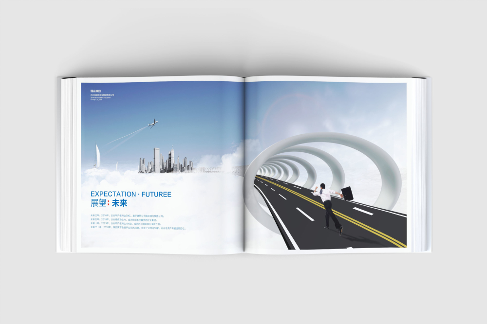 闵行区画册设计